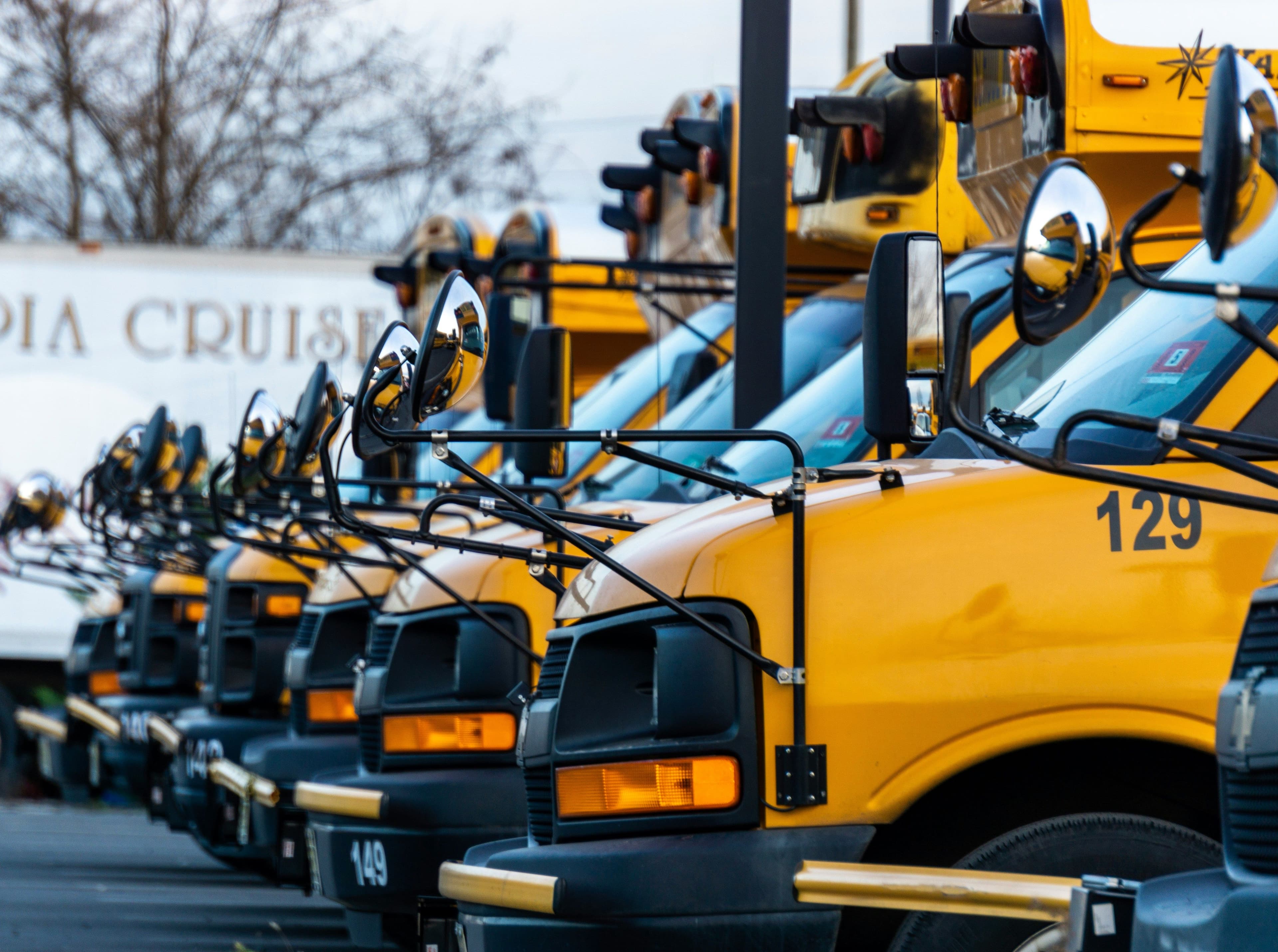School busses in a row